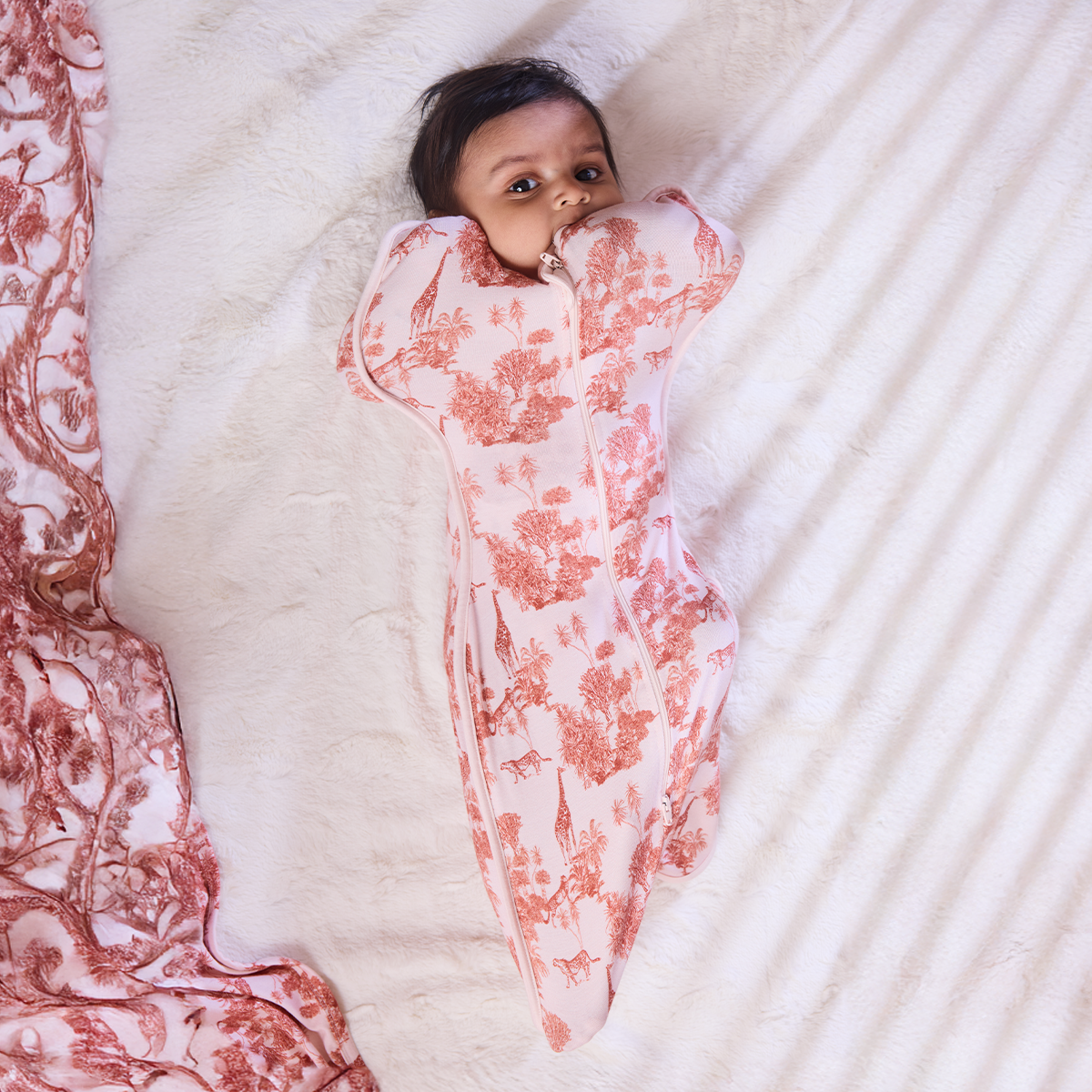 6 piece Sleep Box (Forest Fables)