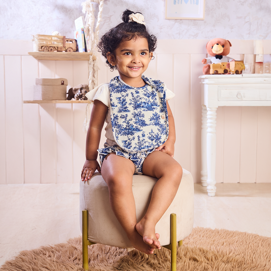 2 Pack Toile Bib Set